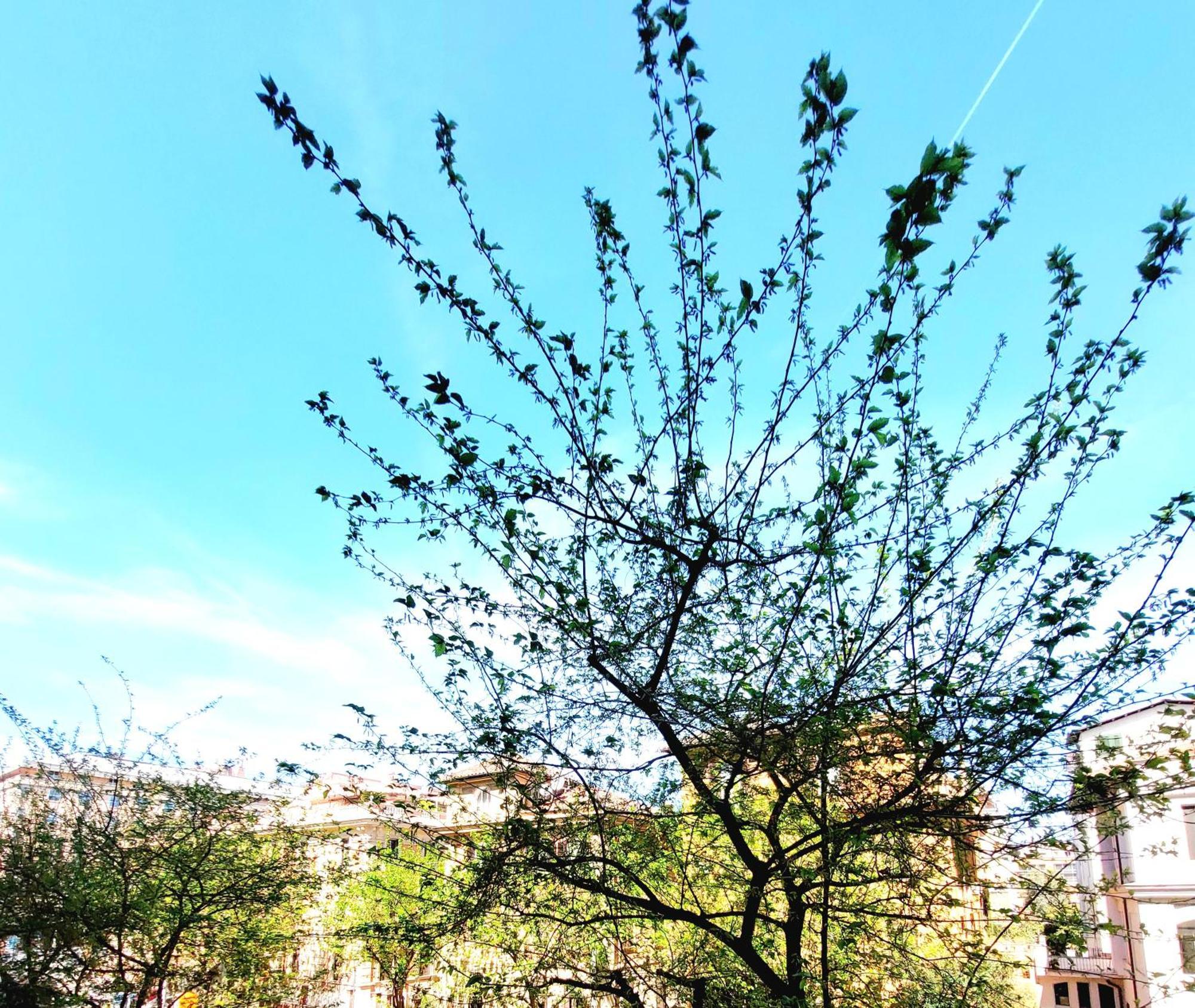 Vanity Apartment - 4 Bedrooms With 4 Bathrooms - Ac & Wifi Roma Eksteriør bilde